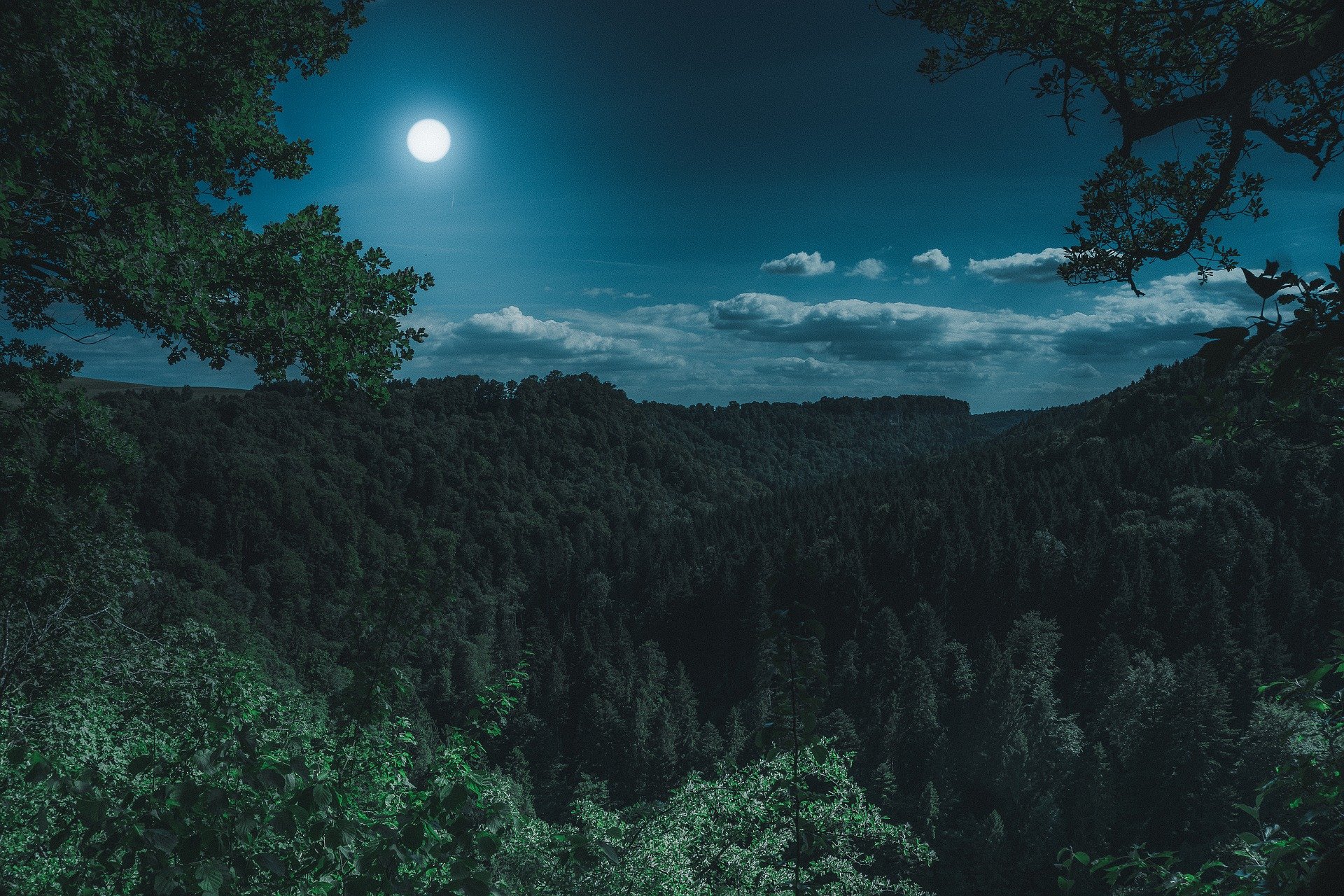 Forty Sacred Hadith Qudsi – Hadith 10